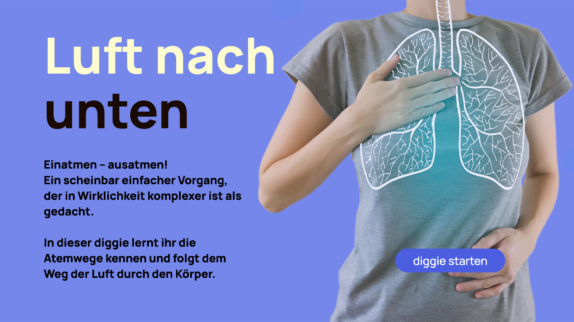 Der Weg der Atemluft — diggies